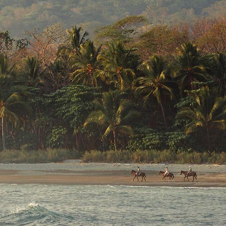 Hotel Santa Teresa By The Beach Playa Santa Teresa  المظهر الخارجي الصورة